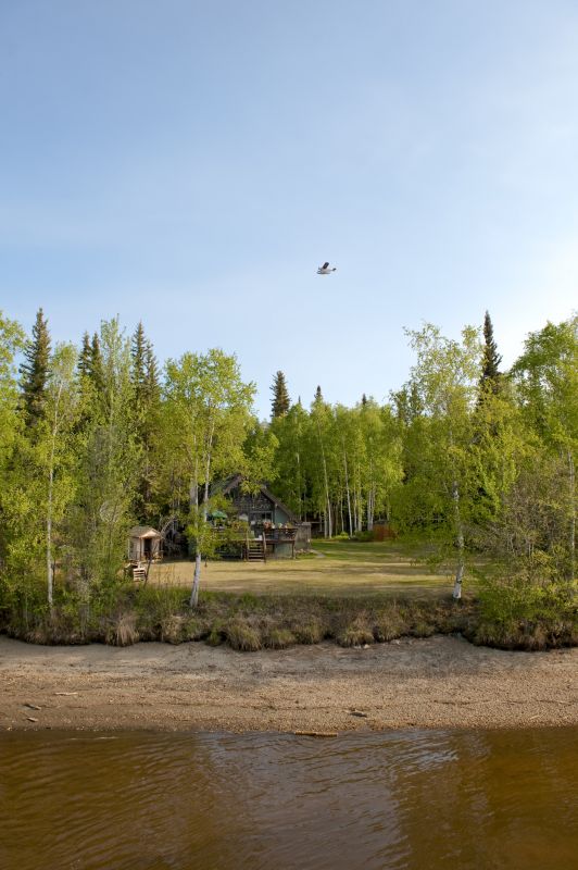 Professional Consultation