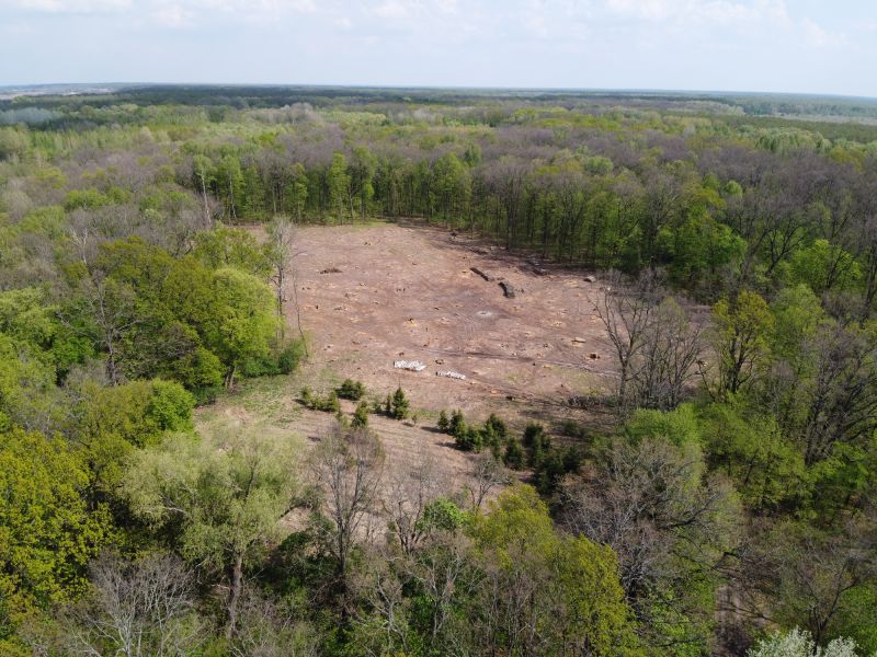 Scheduling Your Land Clearing