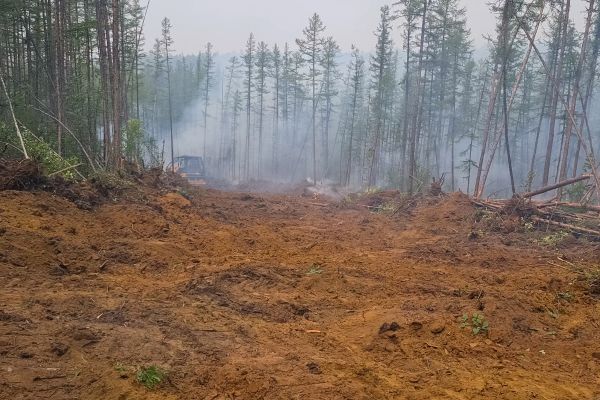 Cost of Hill Clearing in Huntington Beach