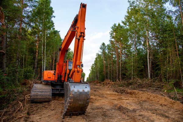 Cost of Backhoe Land Clearing in Huntington Beach
